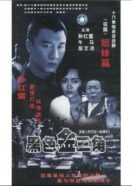 为了这一片净土(1999)海报