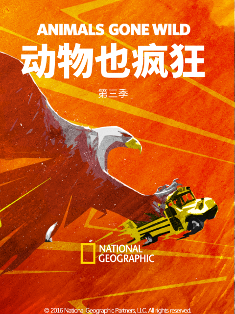 动物也疯狂第三季(2012)海报