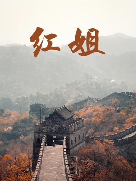 紅姐2017(2017)海報