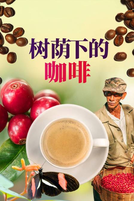 树荫下的咖啡(2024)海报