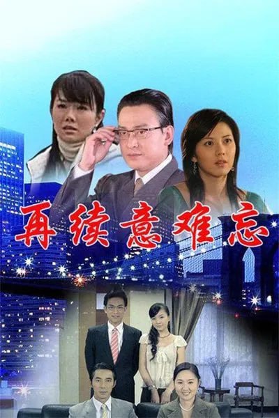 再續意難忘 第六季(2009)海報