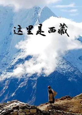 这里是西藏(2017)海报