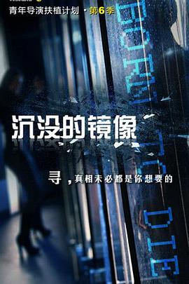 沉没的镜像(2014)海报