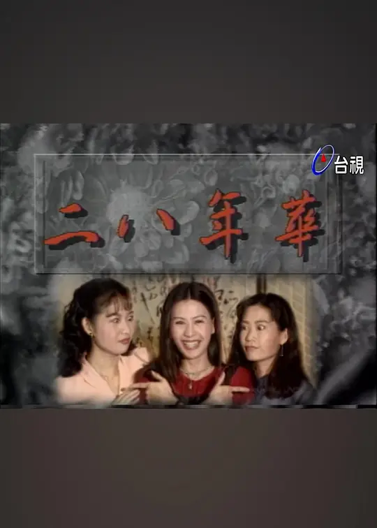 二八年華(1994)海報
