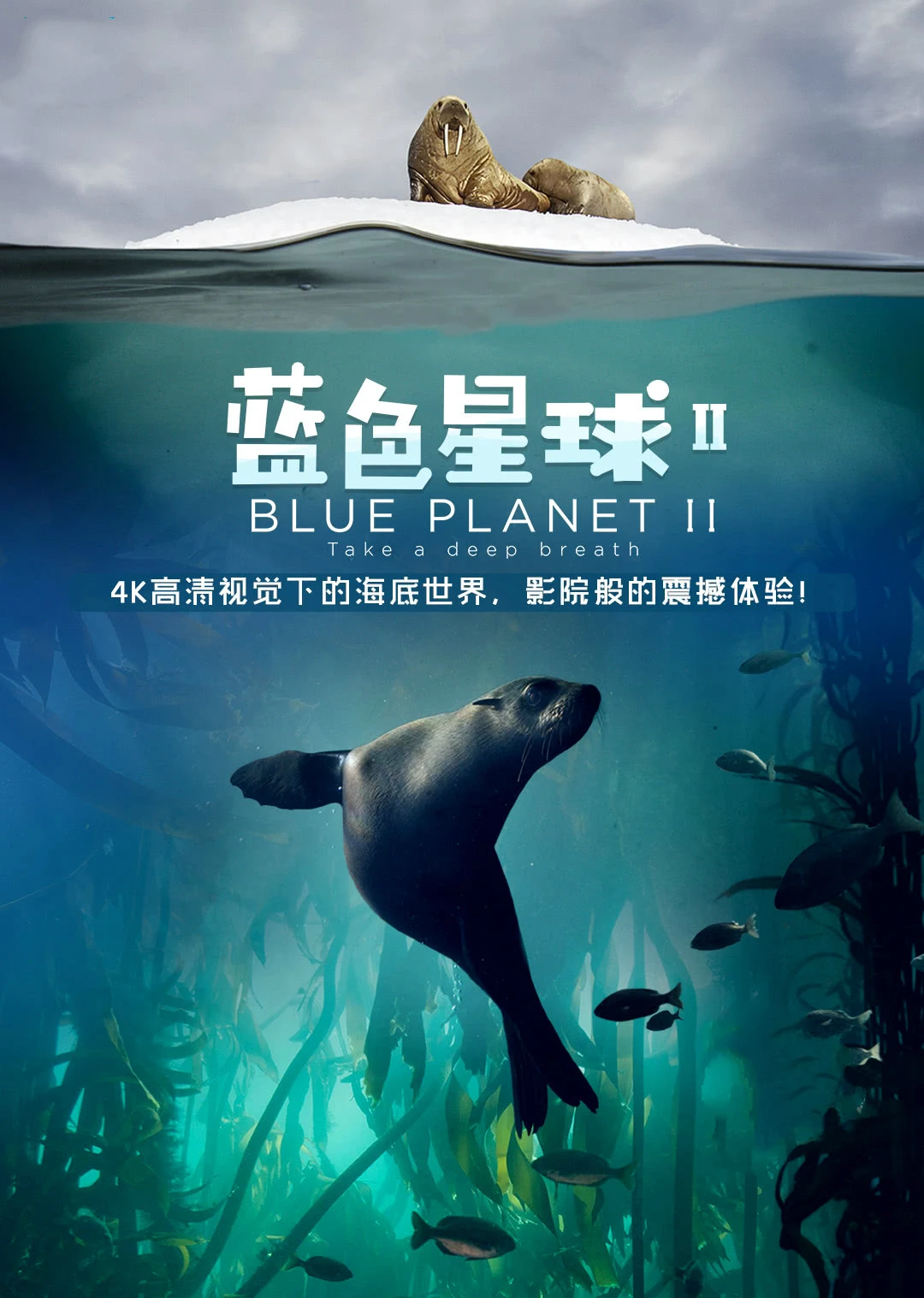蓝色星球第二季英语(2017)海报