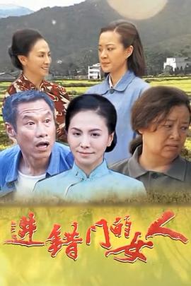 进错门的女人(2019)海报