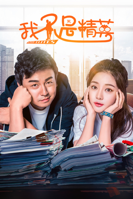 我不是精英DVD版(2017)海報