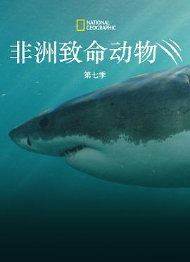 非洲致命动物第七季(2011)海报