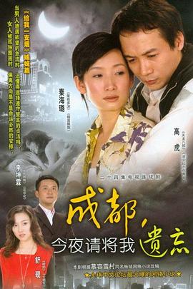 成都,今夜请将我遗忘(2007)海报