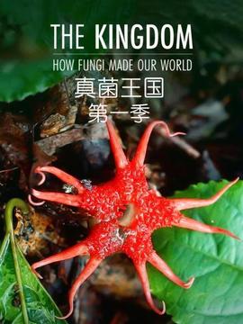 真菌王国第一季(2018)海报