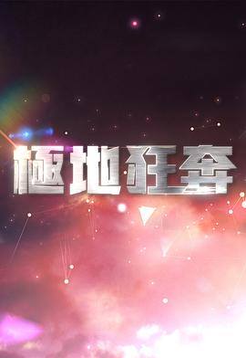 极地狂奔(2013)海报