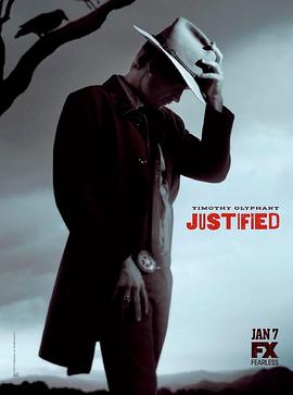 火线警探第五季(2010)海报