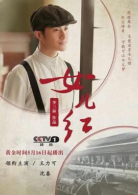 女儿红2017(2017)海报