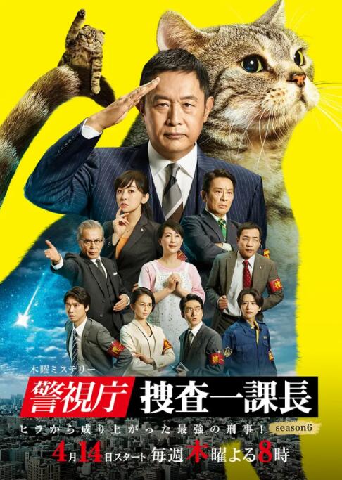 警視廳·搜查一課長 第六季(2016)海報
