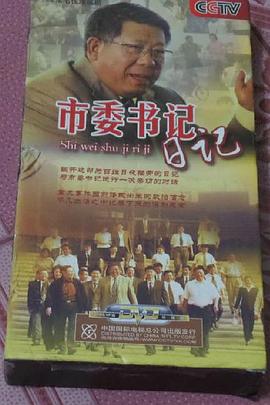 市委书记日记(2010)海报