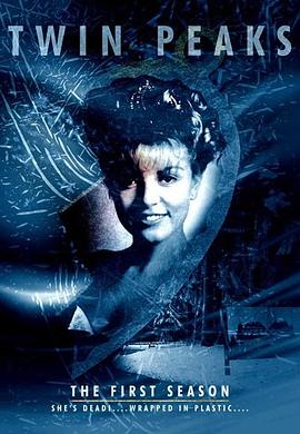 雙峰第一季(1990)海報