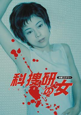 科搜研之女第二季(1999)海报