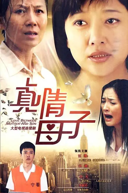 真情母子(2003)海報