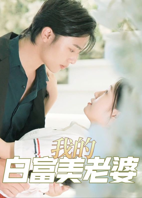我的白富美老婆(2024)海报