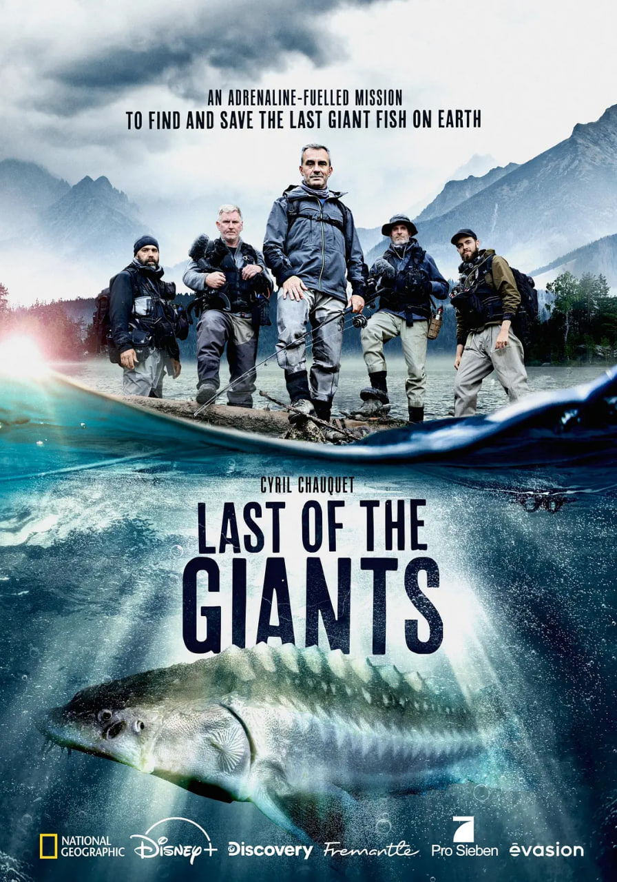 追蹤巨型魚 第一季(2015)海報