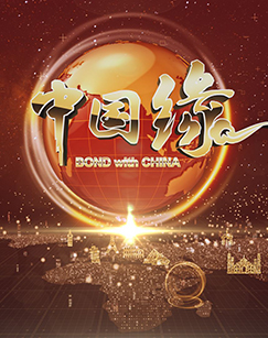 我的中國緣(2021)海報