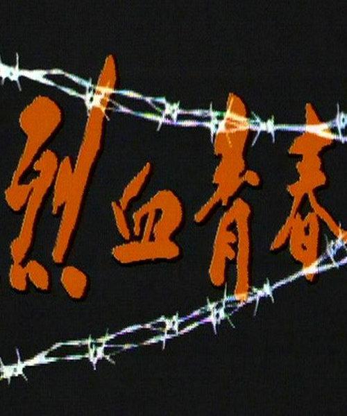 烈血青春(1991)海报