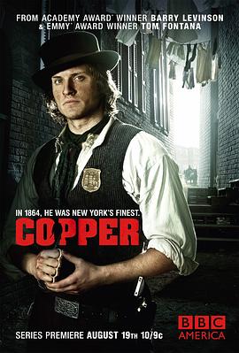 紐約警察故事第一季(2012)海報