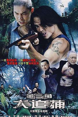 大追捕2008(2008)海报