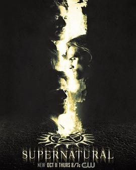 邪恶力量 第十四季(2005)海报