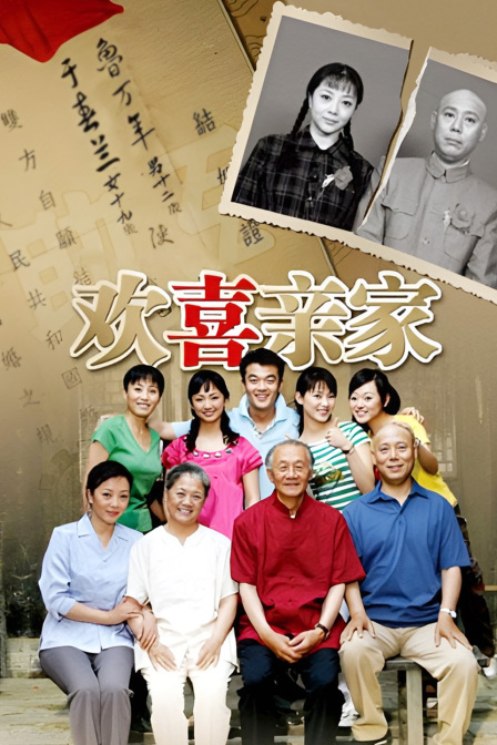 欢喜亲家(2009)海报