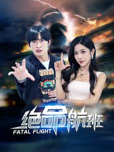 绝命航班短剧(2024)海报
