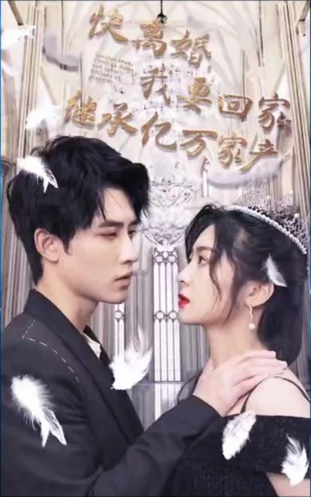 快离婚我要回家继承亿万家产(2023)海报