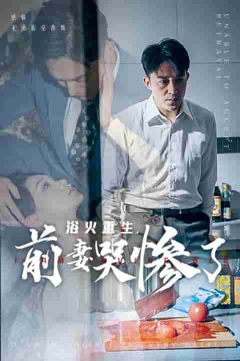 浴火重生,前妻哭惨了(2024)海报