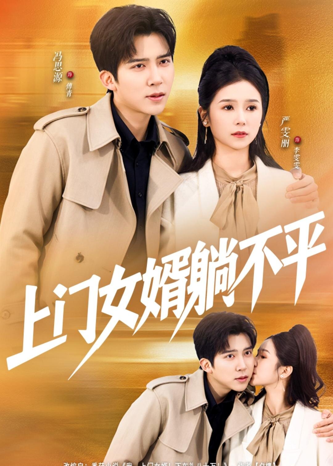 上门女婿躺不平(2026)海报