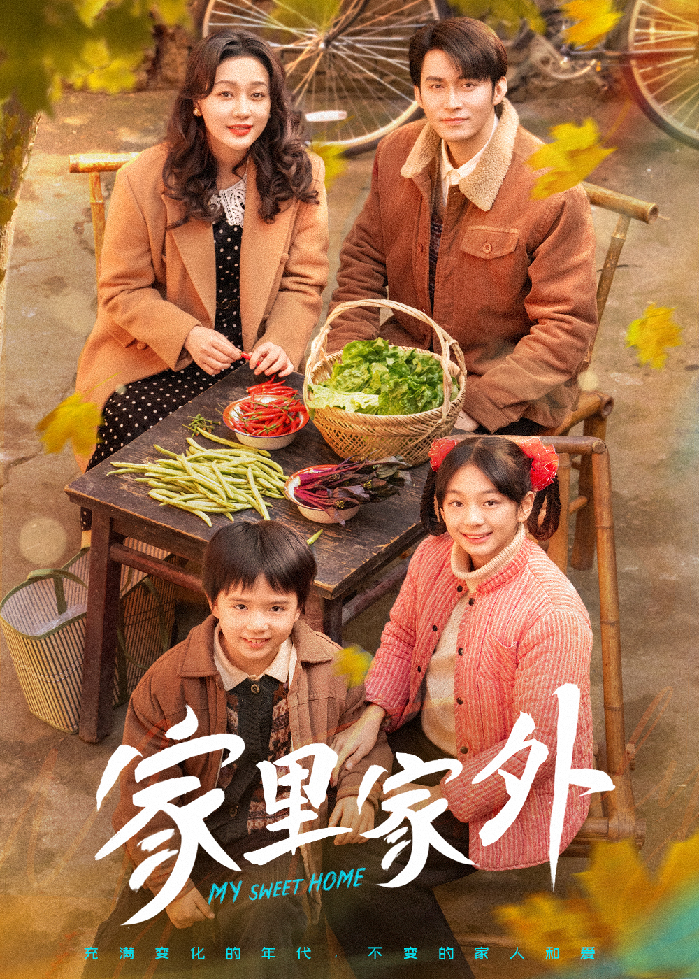 家里家外 短剧版(2025)海报