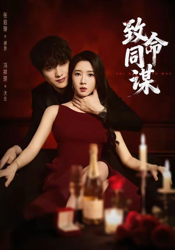 致命同谋(2026)海报
