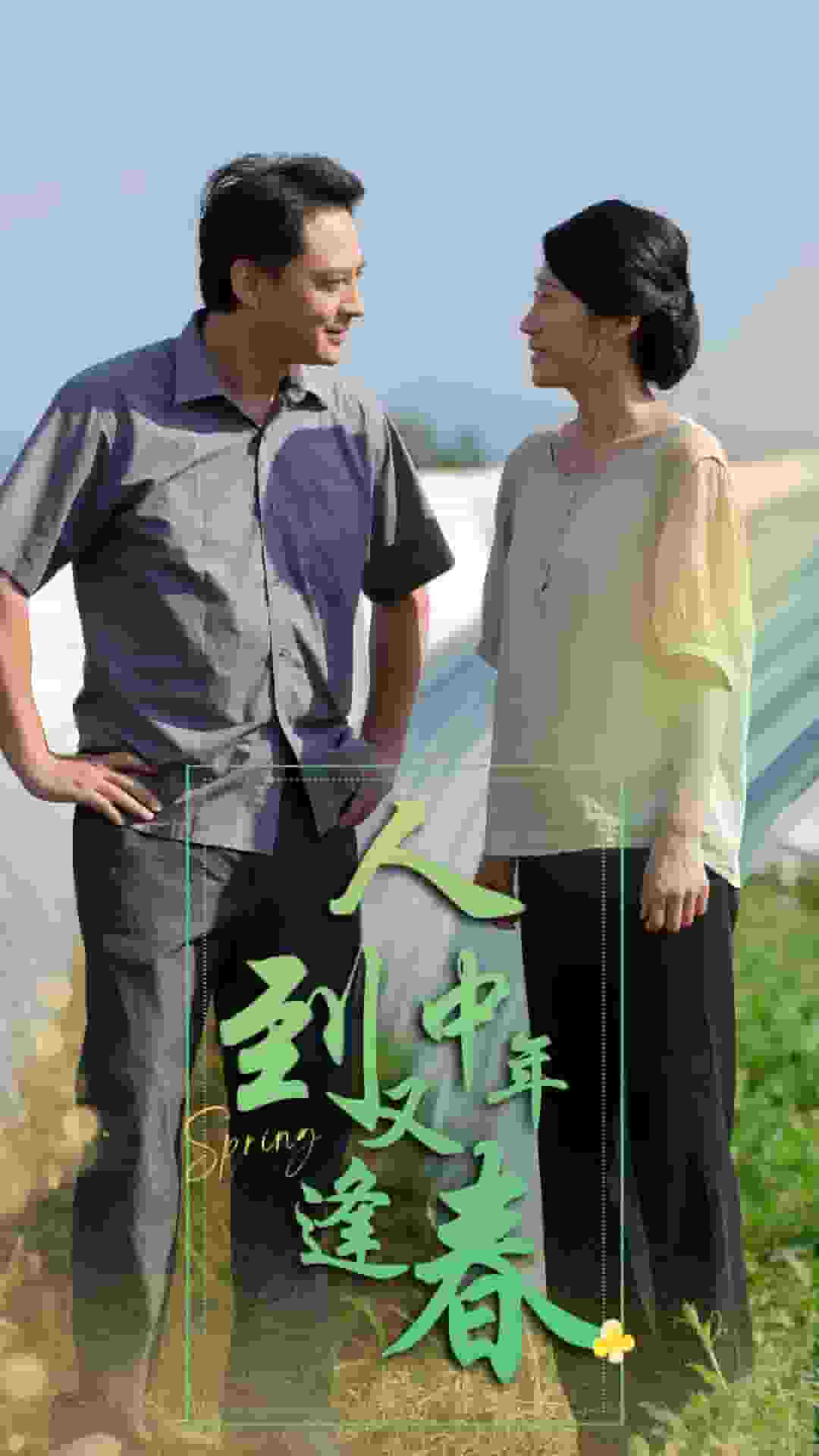 人到中年又逢春(2024)海报