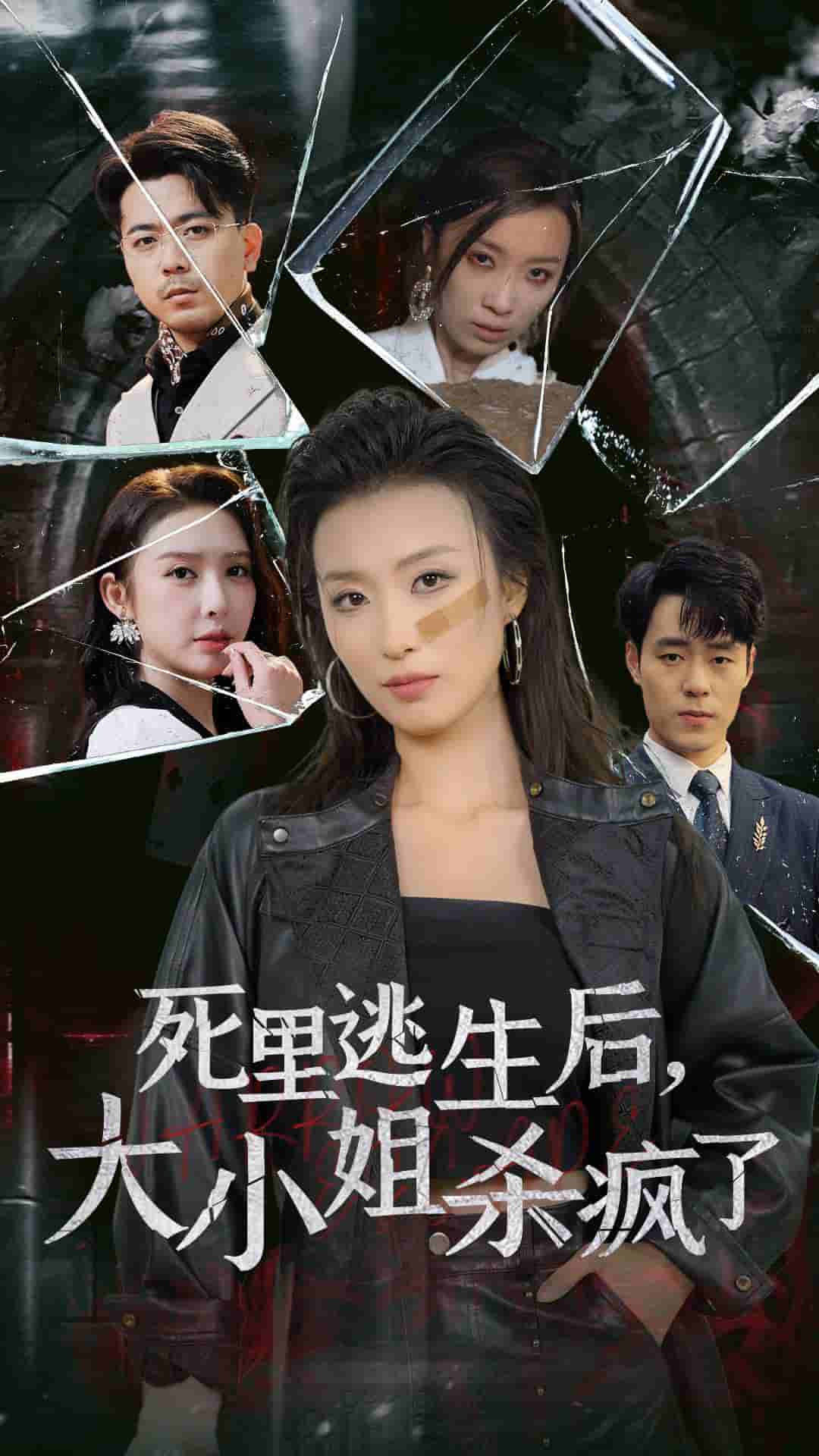 死里逃生后大小姐杀疯了(2024)海报