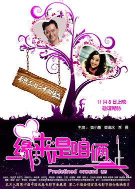 缘来是咱俩(2012)海报