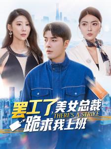 罷工了美女總裁跪求我上班(2024)海報
