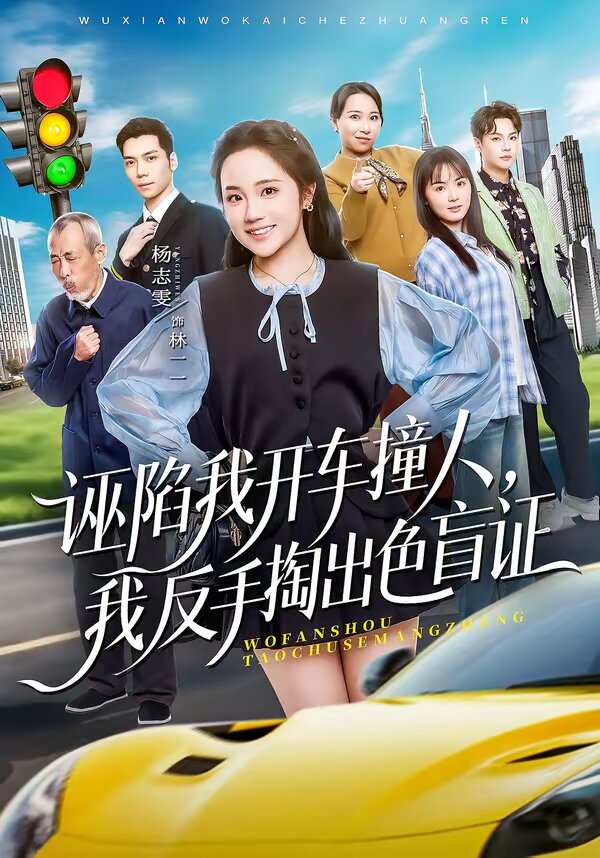 诬陷我开车撞人,我反手掏出色盲证(2026)海报