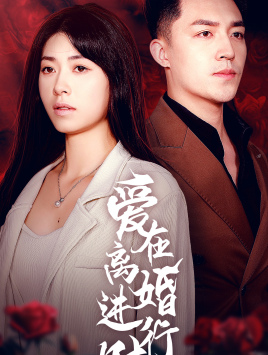 爱在离婚进行时 短剧版(2024)海报