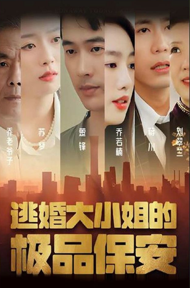 逃婚大小姐的极品保安(2023)海报