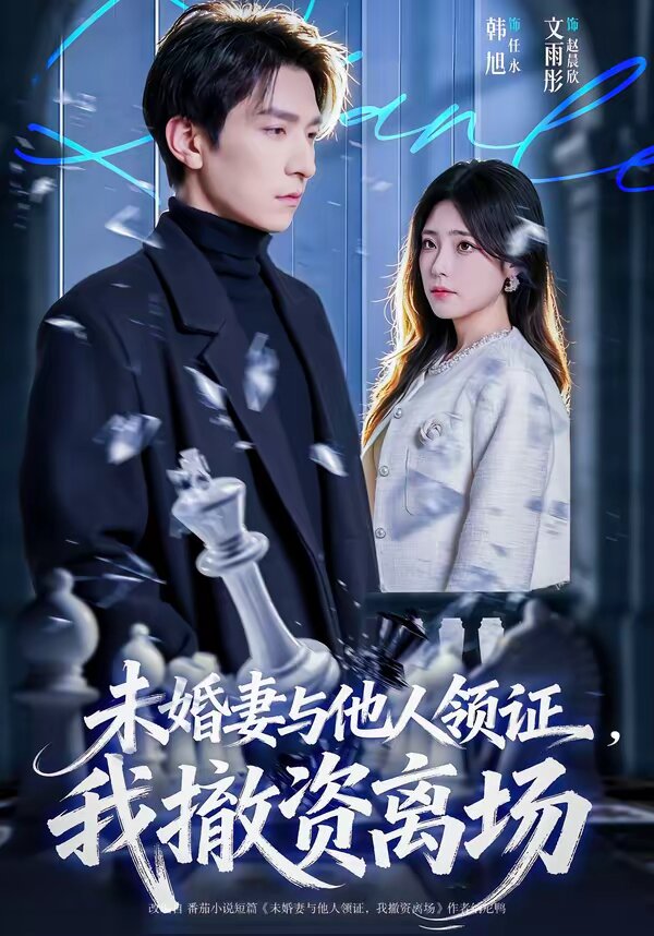 未婚妻与他人领证,我撤资离场(2026)海报