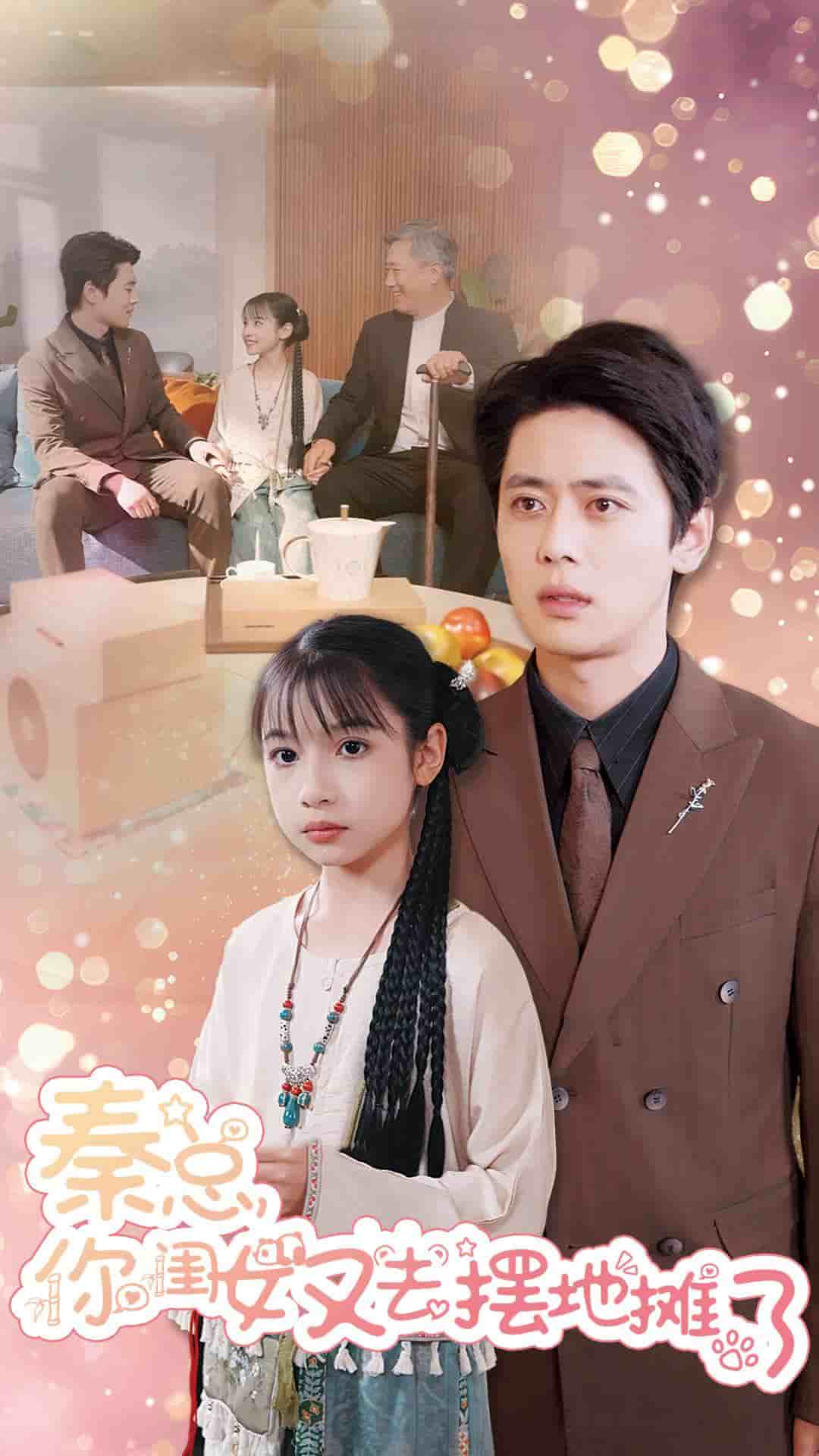 秦總你閨女又去擺地攤了(2025)海報