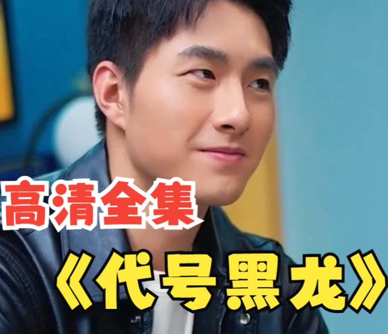 代号黑龙(2023)海报