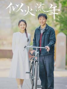 似火流年短剧(2024)海报
