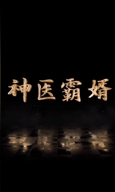 神醫霸婿(2023)海報