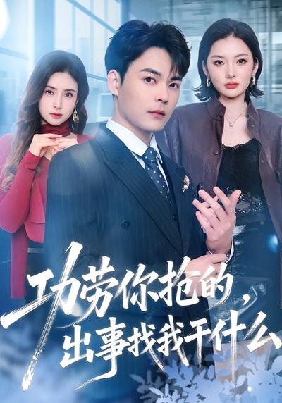 功劳你抢的,出事找我干什么(2026)海报