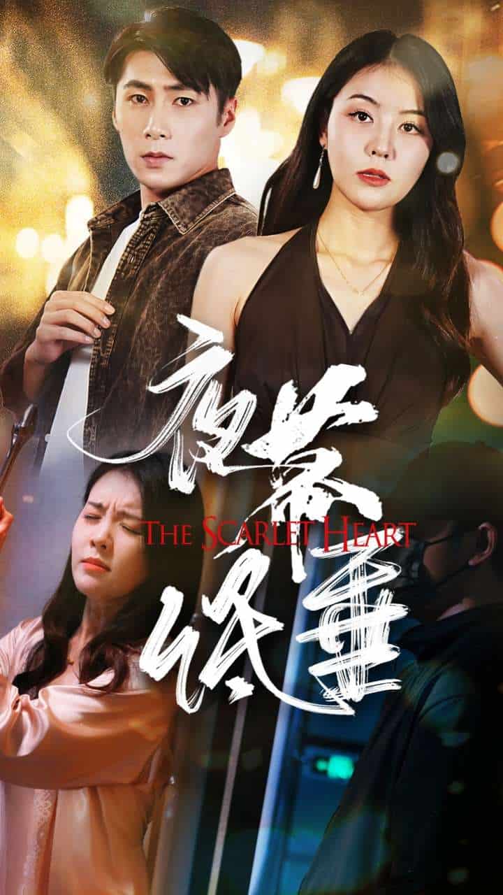 夜幕低垂 短劇版(2024)海報
